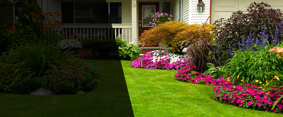 Madison Landscapers